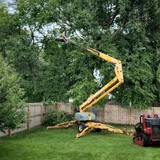 How Our Tree Care Process Works  in  Fairhope, AL